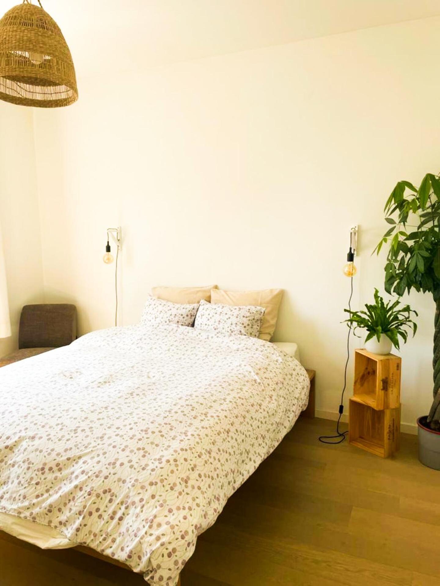 Appartement Op Locatie In Antwerpen